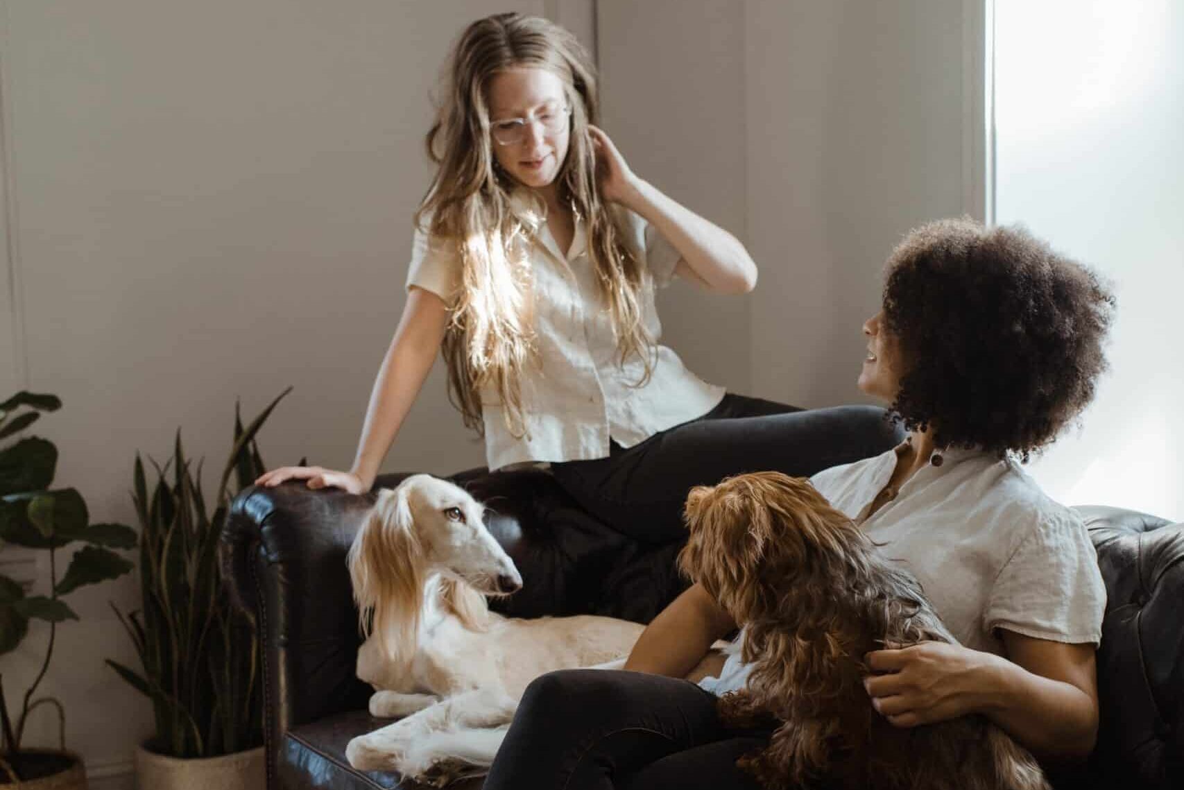 pet owner and dogs on the couch