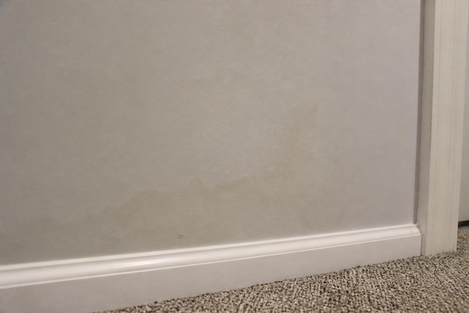 How to Detect a Hidden Water Leak Before It Damages Your Richmond Hill Home - inline 1 photo
